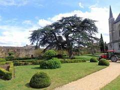 149 CHATEAU DE MONTREUIL BELLAY MAINE ET LOIRE 2016_000026